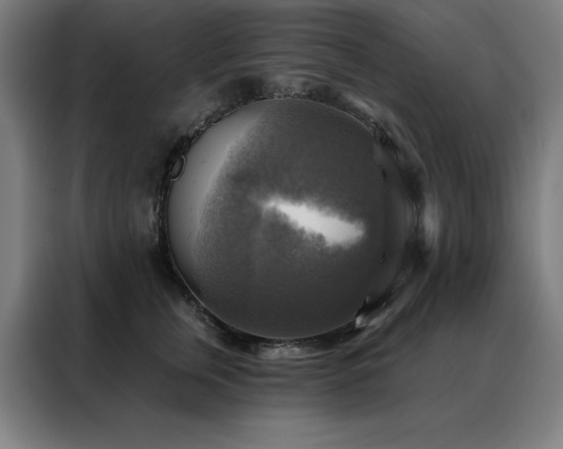 X0000088390759200705221114