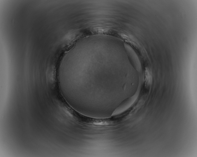 X0000088390760200705221114