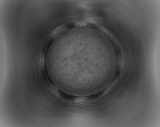 X0000088390761200705221114