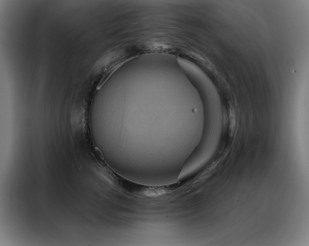 X0000088390762200705221114