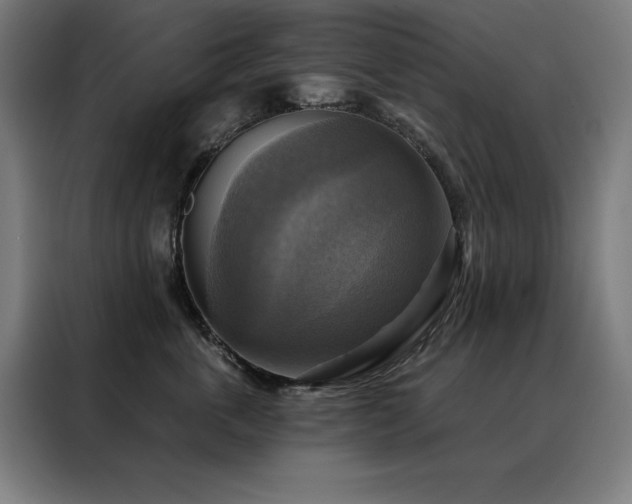 X0000088390763200705221114