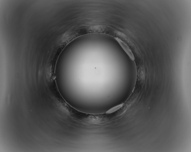 X0000088390764200705221114