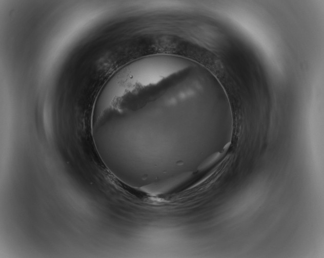 X0000088390765200705221114