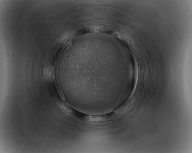 X0000088390766200705221114