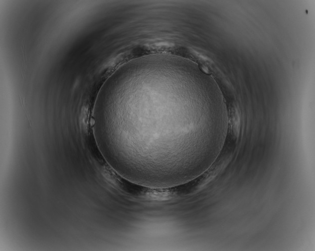 X0000088390767200705221114