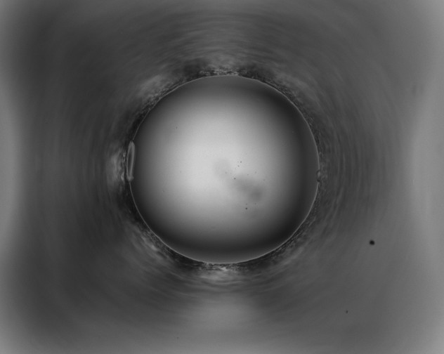 X0000088390768200705221114