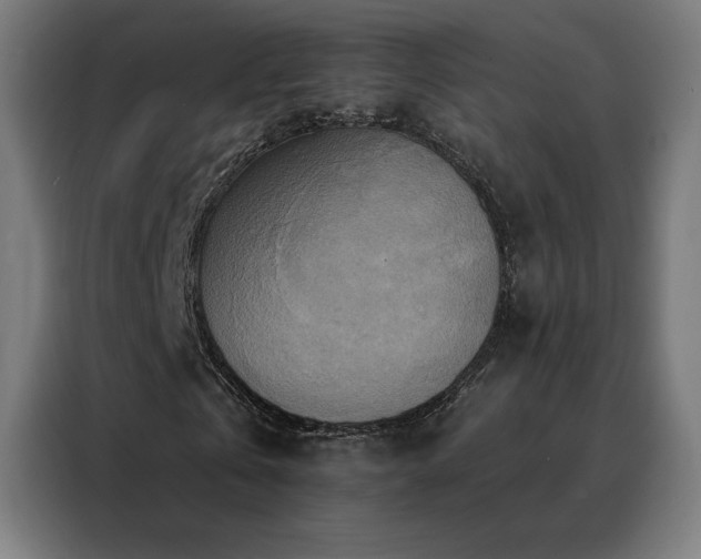 X0000088390769200705221113