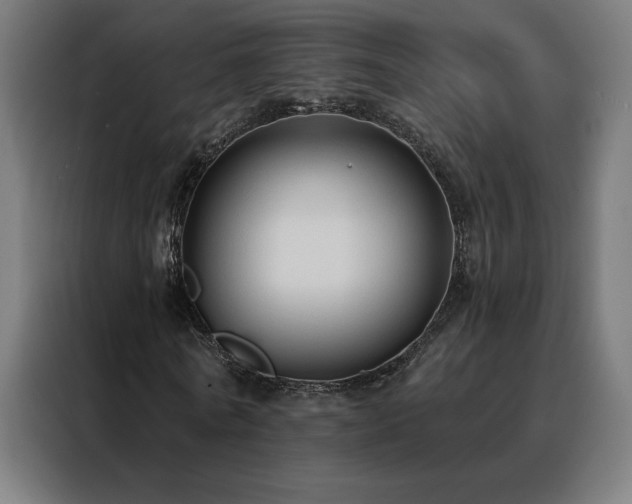 X0000088390770200705221113