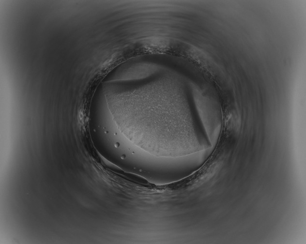 X0000088390772200705221113