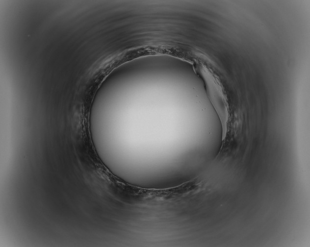 X0000088390773200705221113