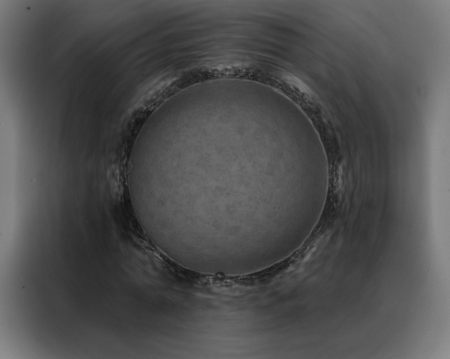 X0000088390774200705221113