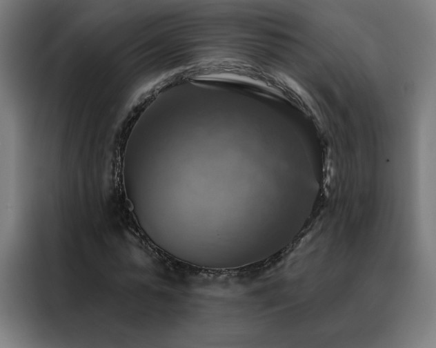 X0000088390775200705221113