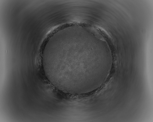 X0000088390776200705221113