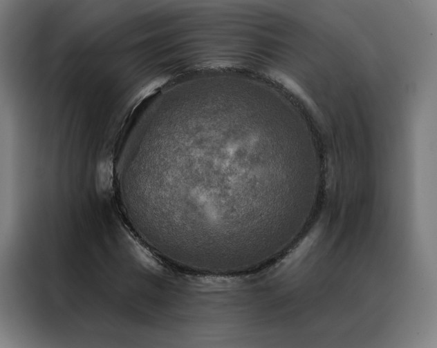 X0000088390777200705221113