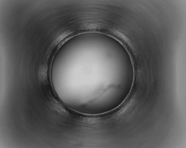 X0000088390778200705221113