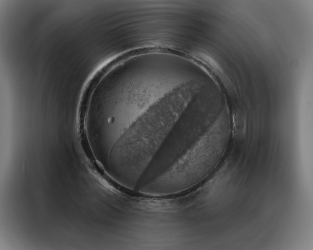 X0000088390780200705221113