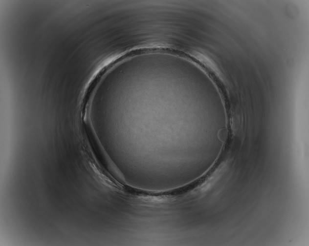 X0000088390781200705221113