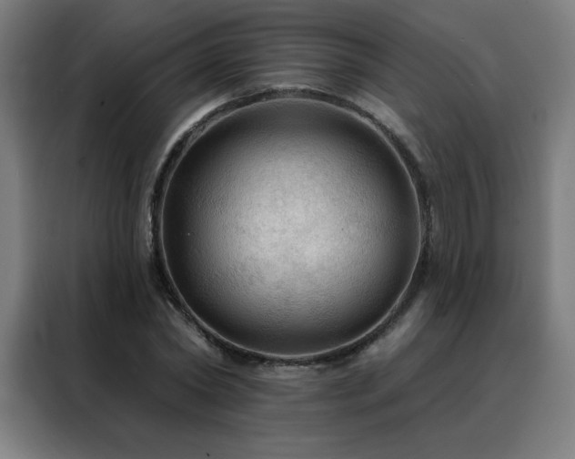 X0000088390782200705221113