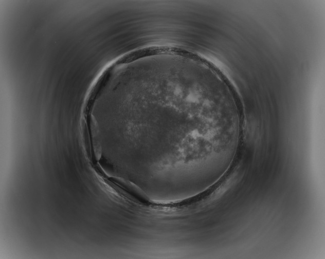 X0000088390783200705221113