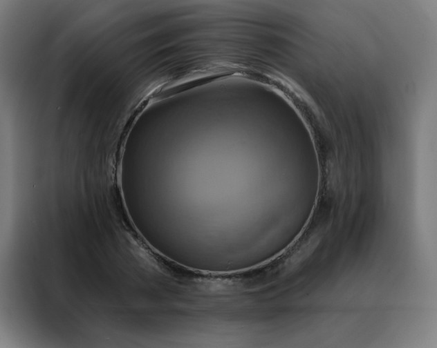 X0000088390785200705221113