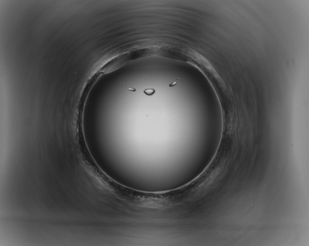 X0000088390786200705221113