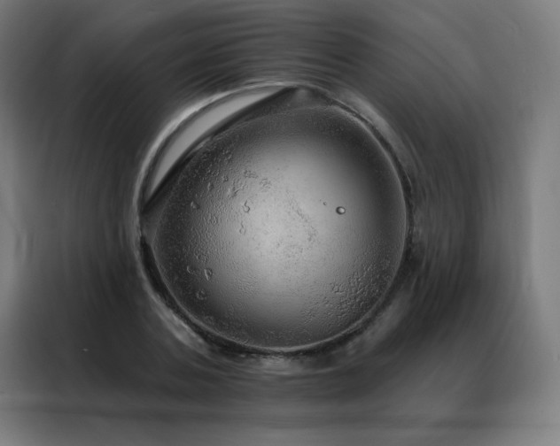 X0000088390787200705221113