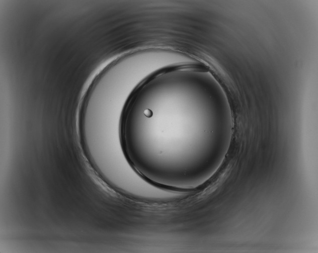 X0000088390788200705221113