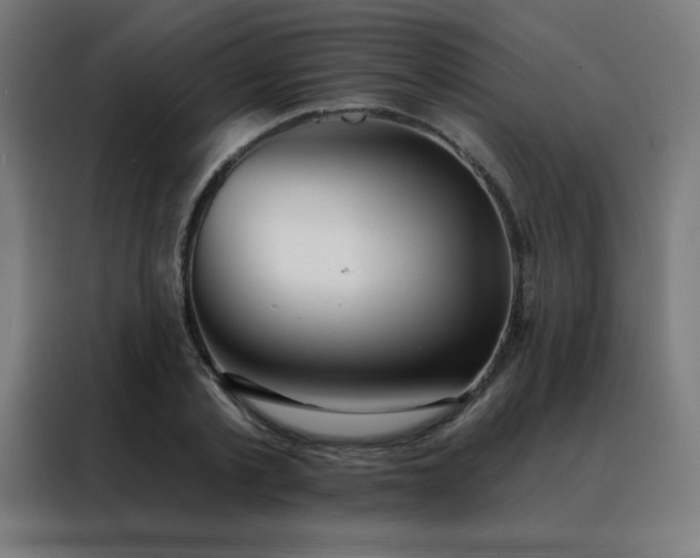 X0000088390789200705221113