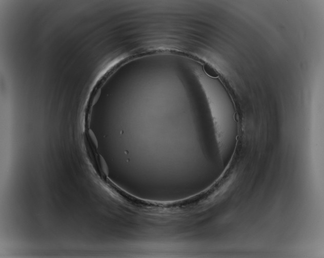 X0000088390790200705221113