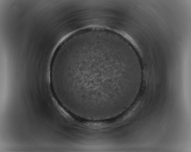 X0000088390791200705221113