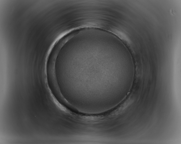 X0000088390792200705221113