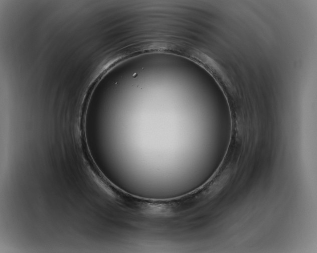 X0000088390794200705221113