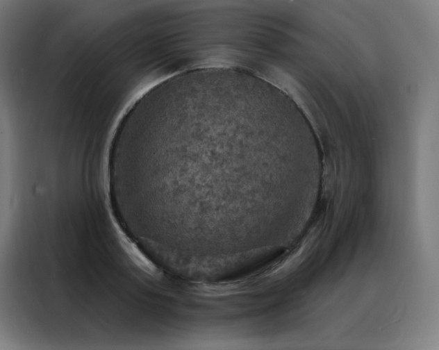 X0000088390795200705221113