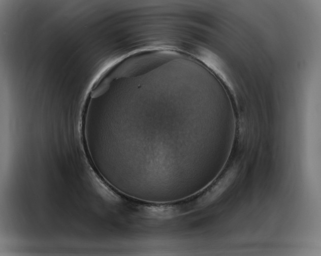 X0000088390797200705221113