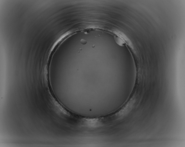 X0000088390798200705221113