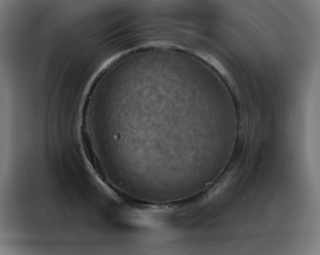 X0000088390799200705221113