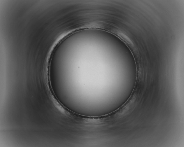 X0000088390800200705221113