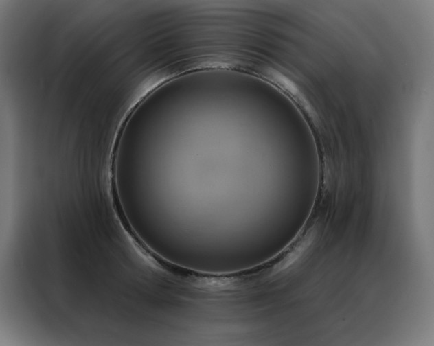 X0000088390802200705221113