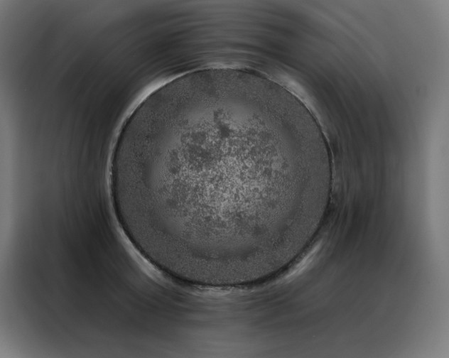 X0000088390803200705221113