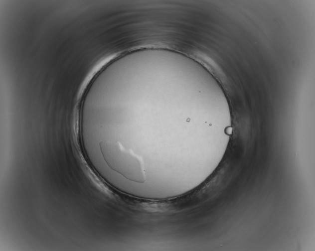 X0000088390804200705221113