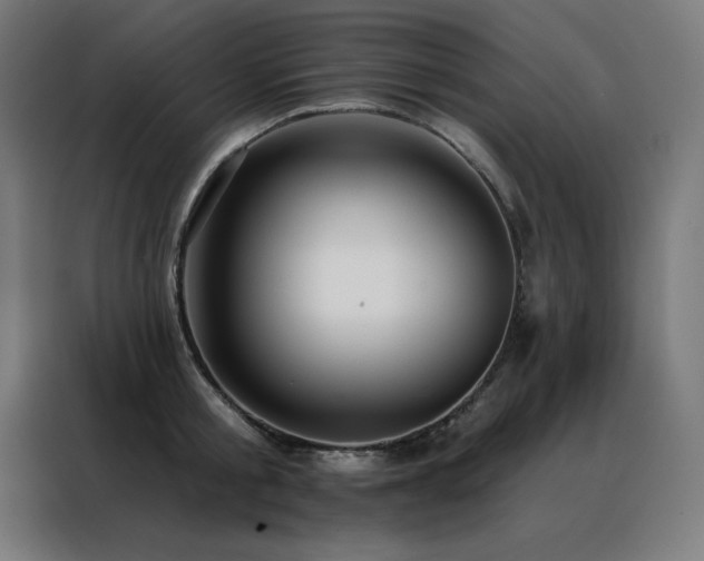 X0000088390805200705221113