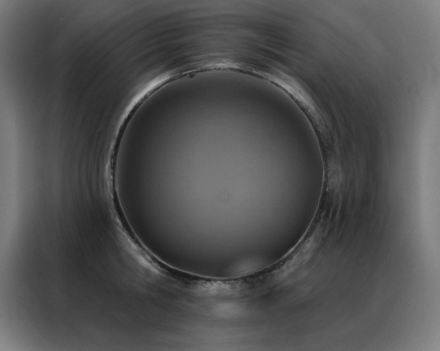 X0000088390806200705221113