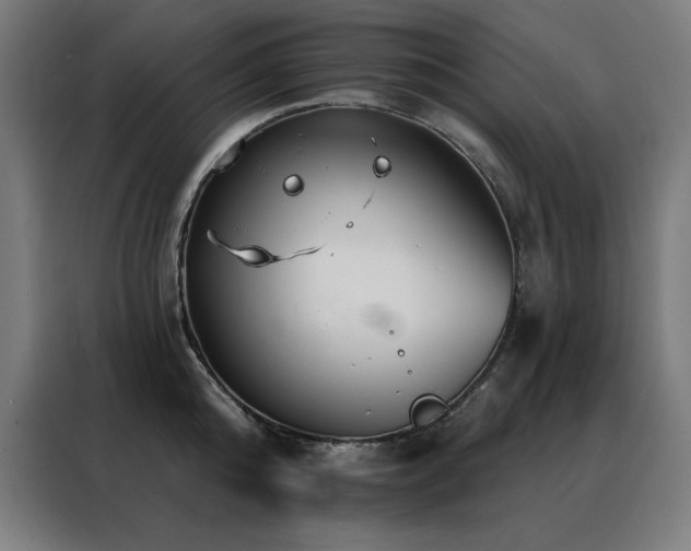 X0000088390808200705221113