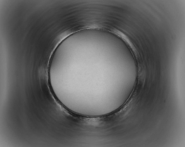 X0000088390810200705221113