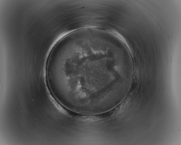 X0000088390811200705221113