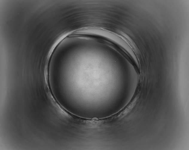 X0000088390812200705221113