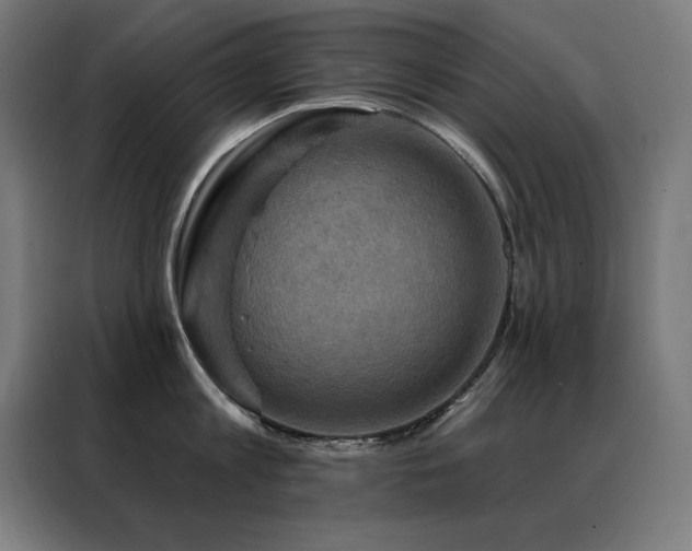 X0000088390813200705221113