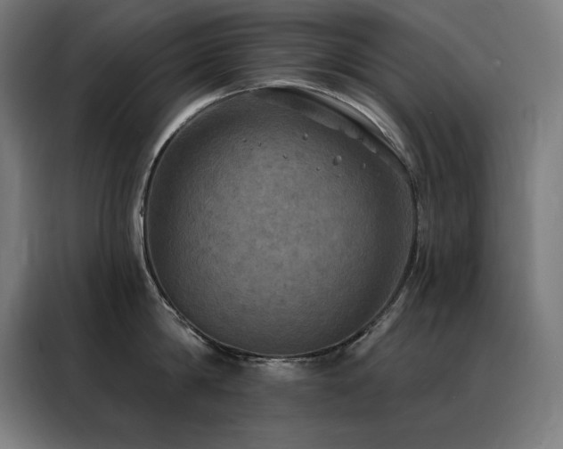 X0000088390814200705221113