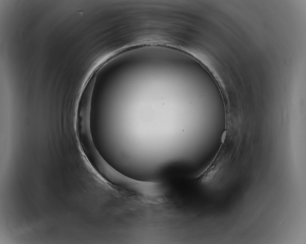 X0000088390815200705221113