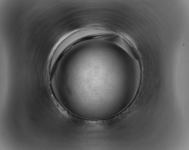 X0000088390816200705221113